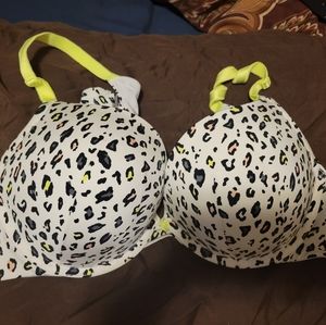 torrid bra euc